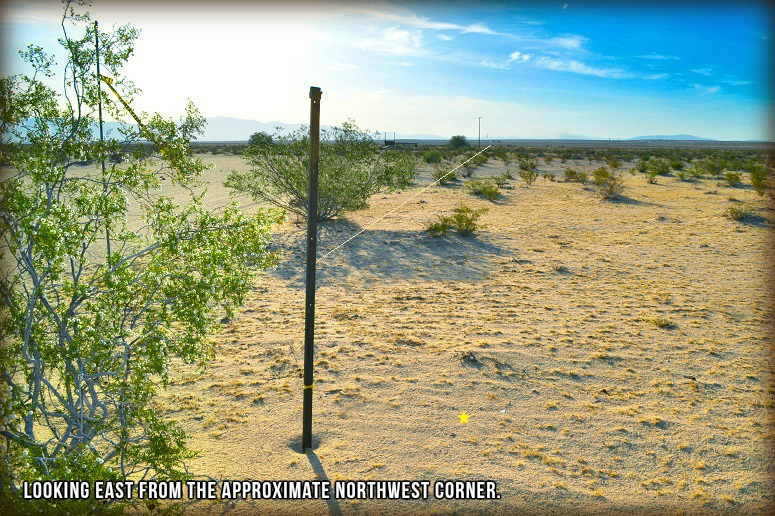 Mojave Road